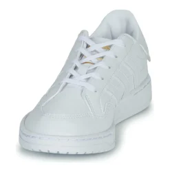 adidas Originals - Novice C