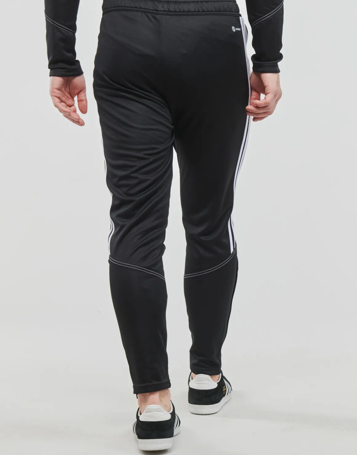 adidas Performance - TIRO23 CB TRPNT