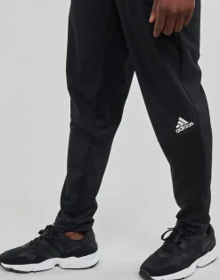 adidas Performance - TRAINING PANT