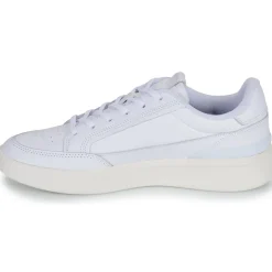 Adidas Sportswear - ASPYRE