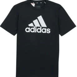 Adidas Sportswear - BL TEE