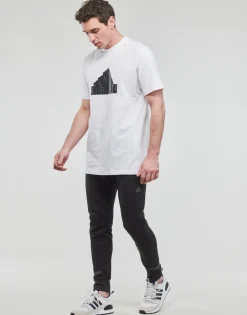 Adidas Sportswear - FI BOS T