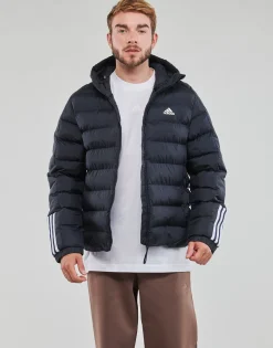 Adidas Sportswear - ITAVIC H JKT