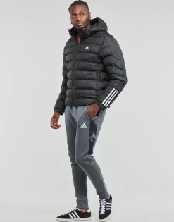 Adidas Sportswear - ITAVIC M H JKT