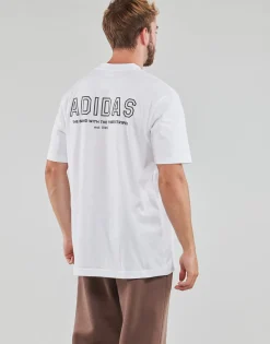 Adidas Sportswear - TEE WHITE