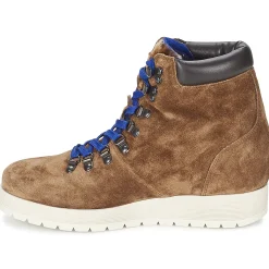 Alberto Gozzi - VELOUR MARRONE