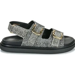 ALOHAS - HARPER SOFT