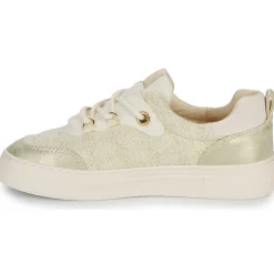 Armistice - ONYX ONE W