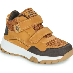 BEPPI - 2202041-CAMEL