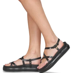 Betty London - AGNES