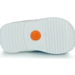 Biomecanics - BIAGETO CANVAS