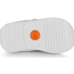 Biomecanics - BIAGETO CANVAS