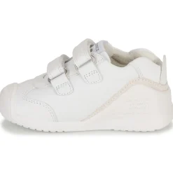 Biomecanics - BIOGATEO SPORT