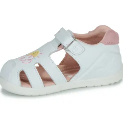 Biomecanics - BIOGATEO WIDER