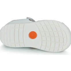 Biomecanics - BIOGATEO WIDER