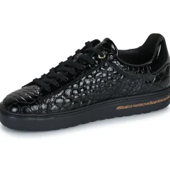 BIRKENSTOCK - Bend Low