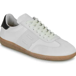 Blackstone - LIME WREN