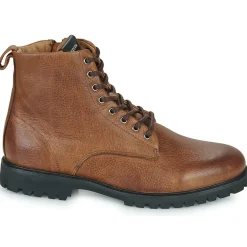 Blackstone - SG33-OLDY