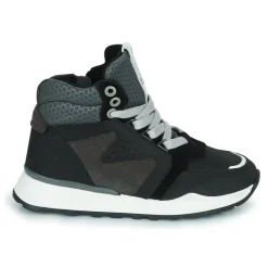 Bullboxer - AEX502E6C