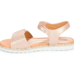 Bullboxer - AOA010F1S_ROGOKB00