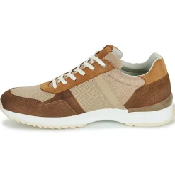 Bullboxer - DEAN CUP LOW M