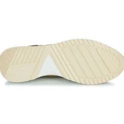 Bullboxer - DEAN CUP LOW M