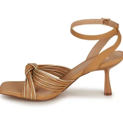 Bullboxer - 156002F2S