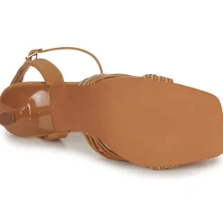 Bullboxer - 156002F2S