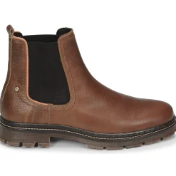 Bullboxer - SOHIL CHELSEA