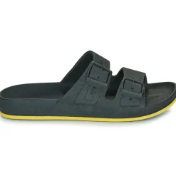 Cacatoès - BRASILIA