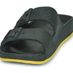 Cacatoès - BRASILIA