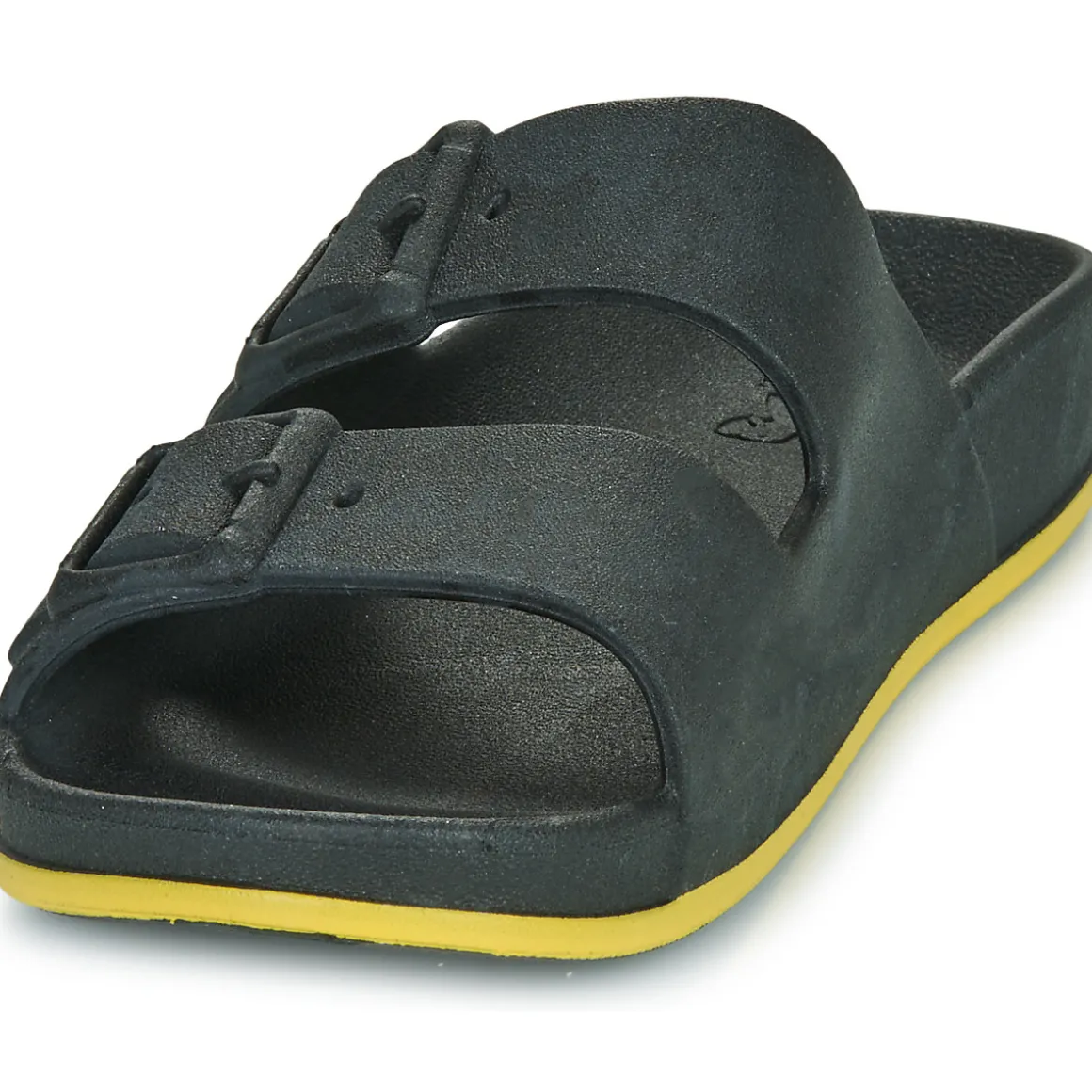 Cacatoès - BRASILIA