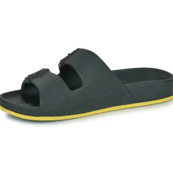 Cacatoès - BRASILIA