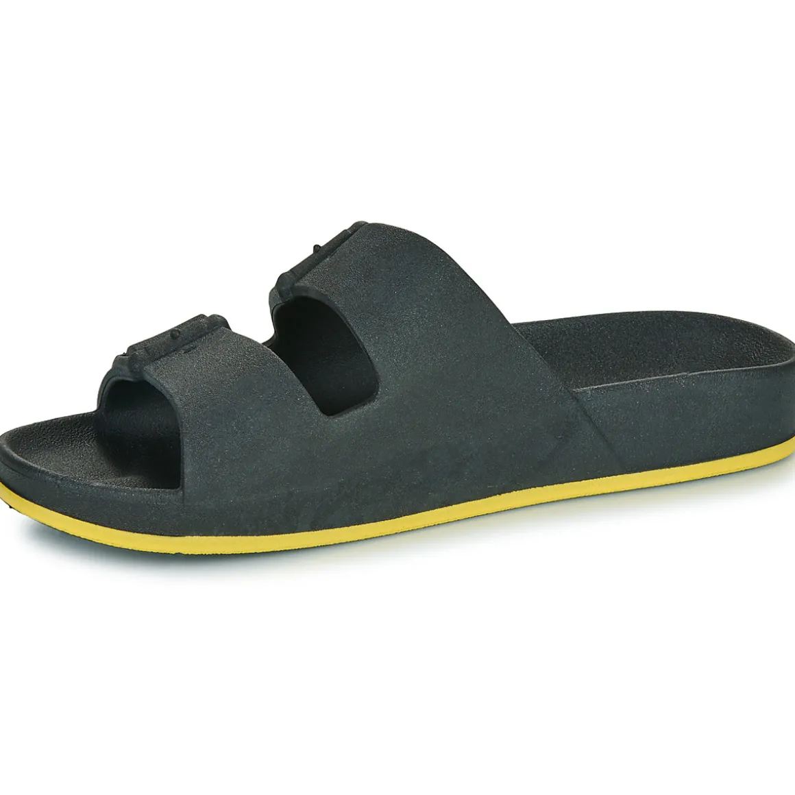 Cacatoès - BRASILIA