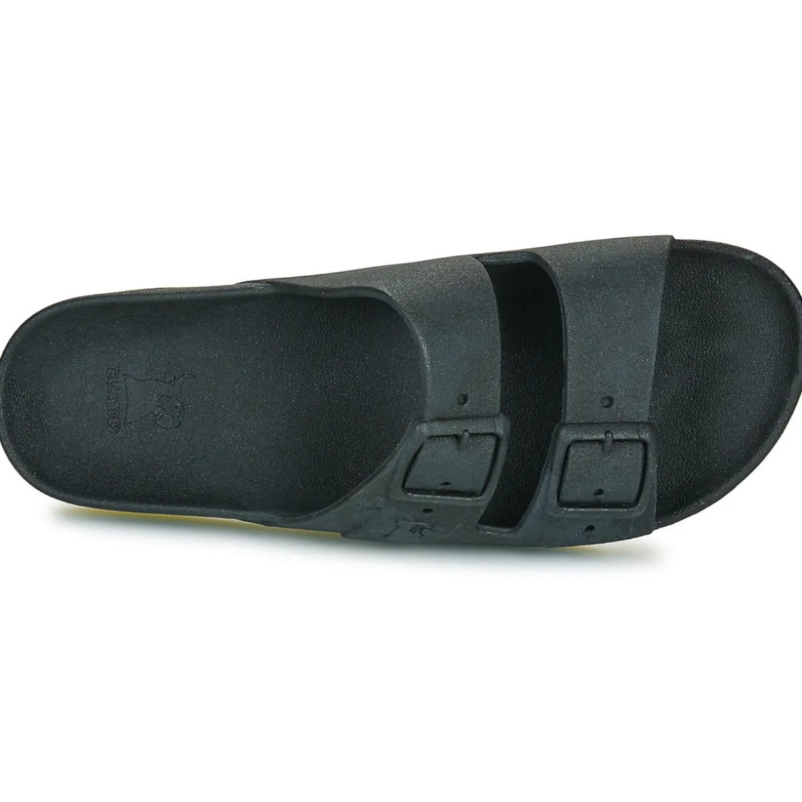 Cacatoès - BRASILIA