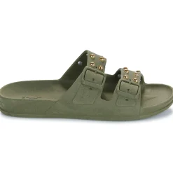 Cacatoès - FLORIANOPOLIS