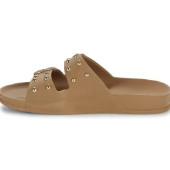 Cacatoès - FLORIANOPOLIS