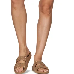 Cacatoès - FLORIANOPOLIS