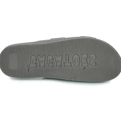 Cacatoès - RIO DE JANEIRO