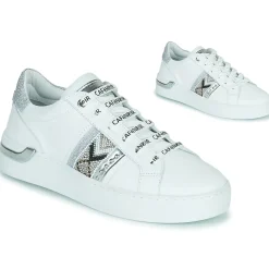 Café Noir - C1DS9210