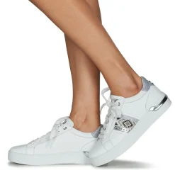 Café Noir - C1DS9210