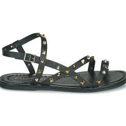 Café Noir - C1GD1040