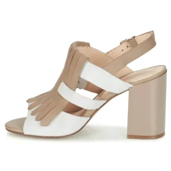 Café Noir - GONFERT