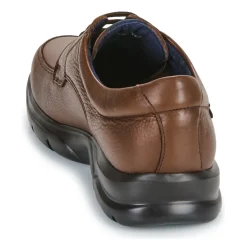 CallagHan - CAMBRIDGE