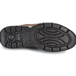 CallagHan - CAMBRIDGE