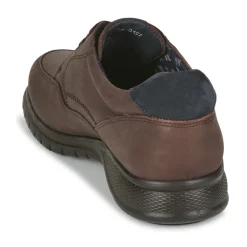 CallagHan - FREEMIND