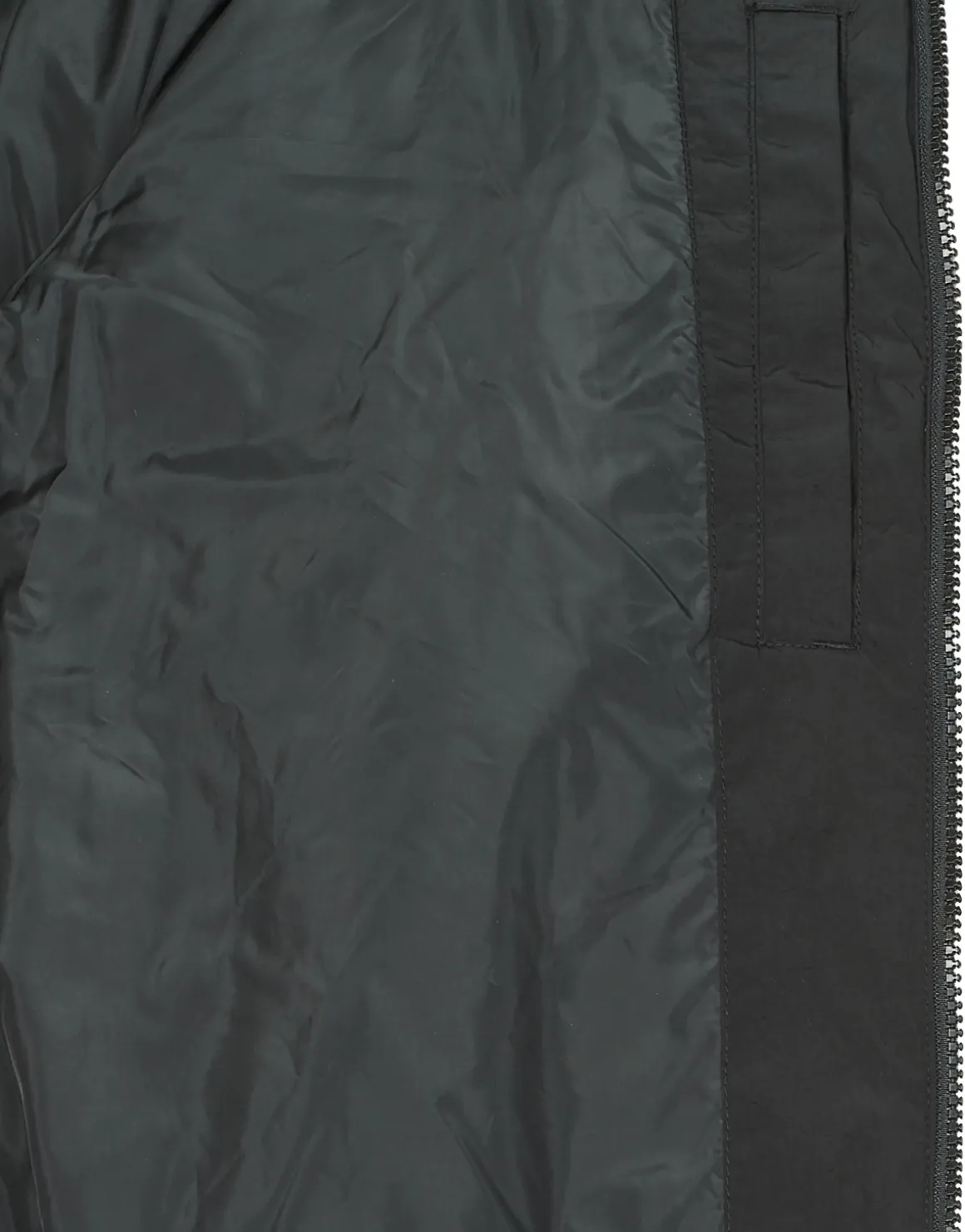 Calvin Klein Jeans - PADDED HARRINGTON