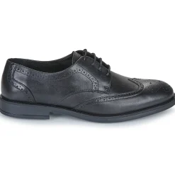 Carlington - LOUVIAN