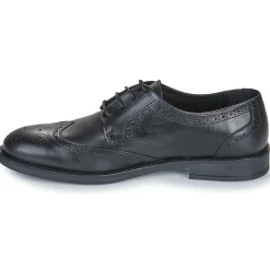 Carlington - LOUVIAN