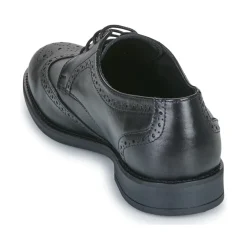 Carlington - LOUVIAN